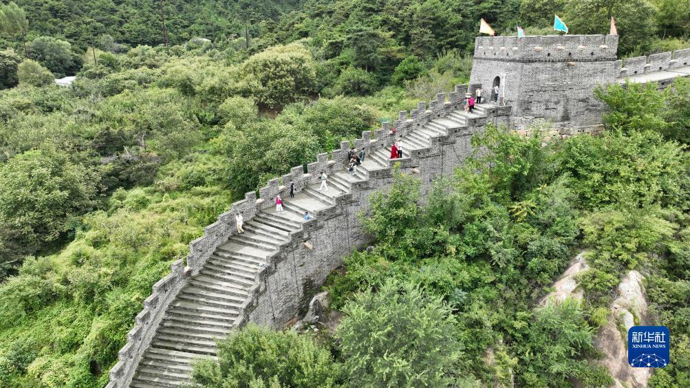 威尼斯平台充值金币